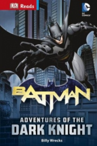 Kniha DC Comics Batman Adventures of the Dark Knight Billy Wrecks