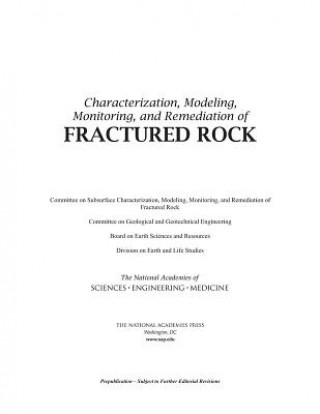 Książka Characterization, Modeling, Monitoring, and Remediation of Fractured Rock Committee on Subsurface Characterization