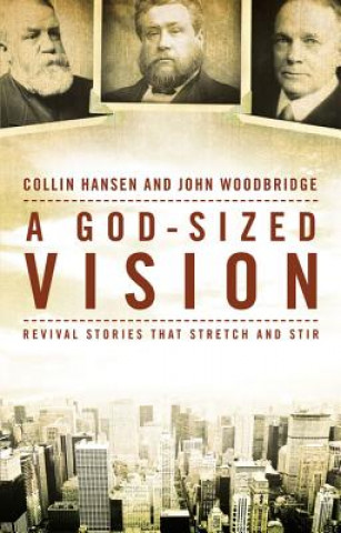 Carte God-Sized Vision Collin Hansen