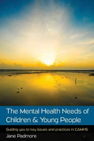 Книга Mental Health Needs of Children & Young People: Guiding you to key issues and practices in CAMHS Padmore