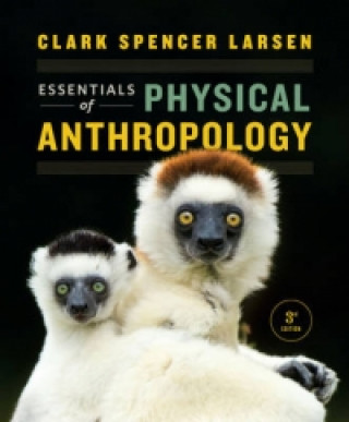 Kniha Essentials of Physical Anthropology Clark Spencer Larsen