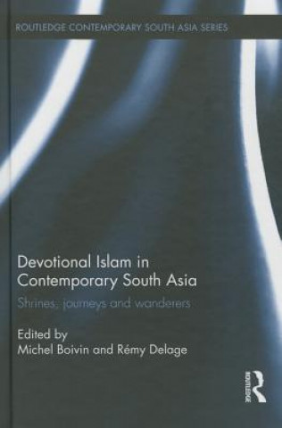 Kniha Devotional Islam in Contemporary South Asia 