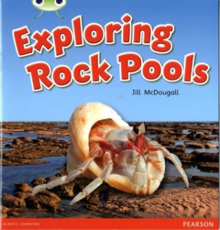 Book Bug Club Guided Non Fiction Year 1 Green C Exploring Rock Pools Jill McDougall