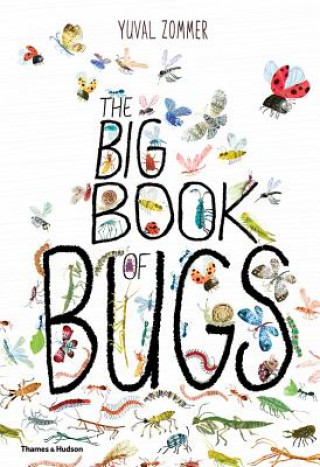Kniha Big Book of Bugs Yuval Zommer