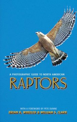 Kniha Photographic Guide to North American Raptors William S. Clark