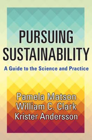 Kniha Pursuing Sustainability Pamela Matson