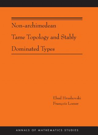 Książka Non-Archimedean Tame Topology and Stably Dominated Types (AM-192) Ehud Hrushovski