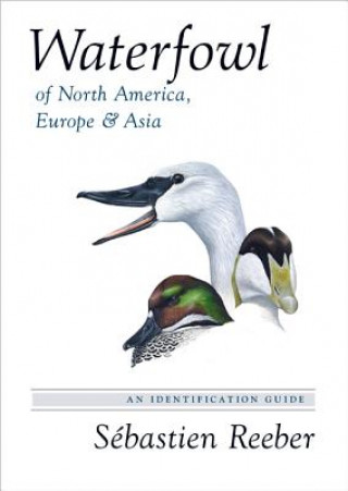 Книга Waterfowl of North America, Europe, and Asia Sebastien Reeber