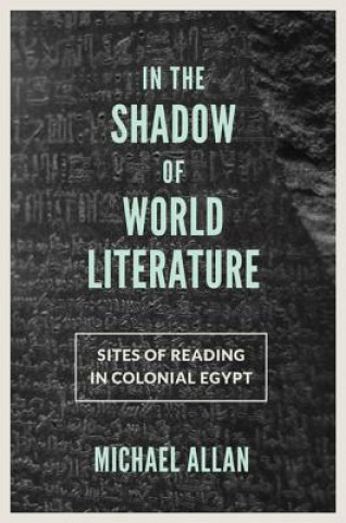 Kniha In the Shadow of World Literature Michael Allan