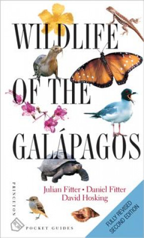 Kniha Wildlife of the GalA!pagos - Second Edition Julian Fitter