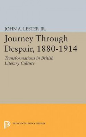 Book Journey Through Despair, 1880-1914 John Ashby Lester