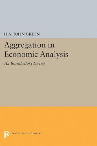 Kniha Aggregation in Economic Analysis H.A.John Green
