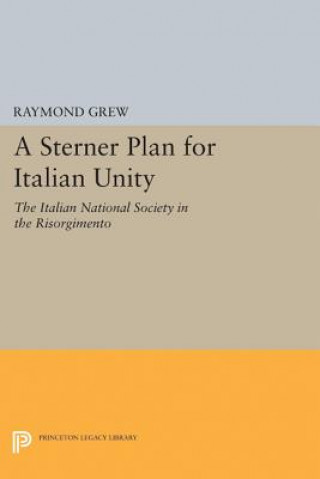 Kniha Sterner Plan for Italian Unity Raymond Grew