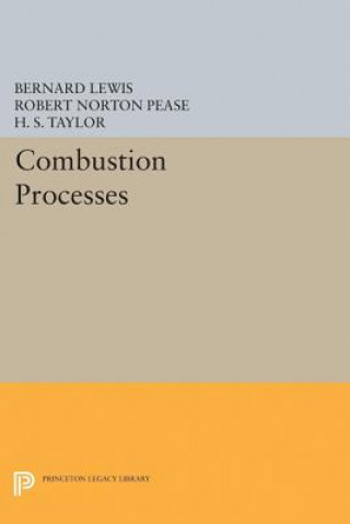 Kniha Combustion Processes Bernard Lewis