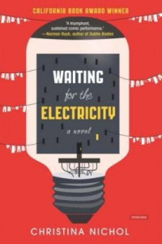 Kniha Waiting for the Electricity Christina Nichol