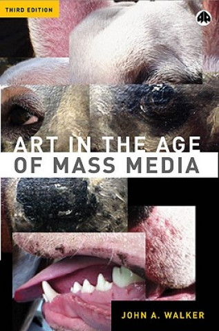 Kniha Art in the Age of Mass Media John A. Walker