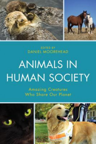 Kniha Animals In Human Society Daniel Moorehead