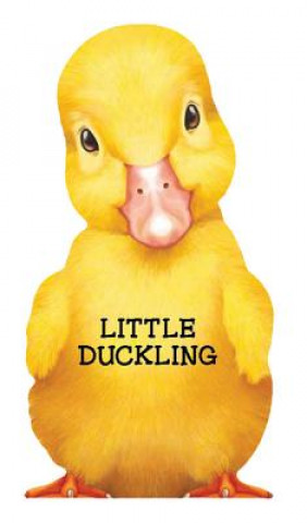 Kniha Little Duckling L. Rigo