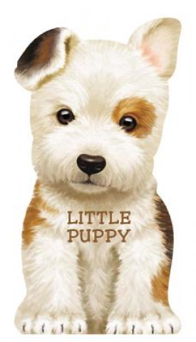 Book Little Puppy L. Rigo