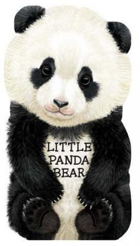 Knjiga Little Panda Bear L. Rigo