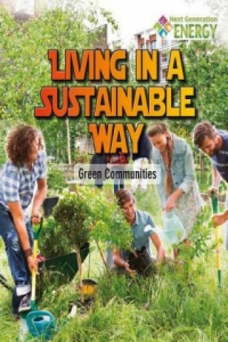 Livre Living in a Sustainable Way Megan Kopp