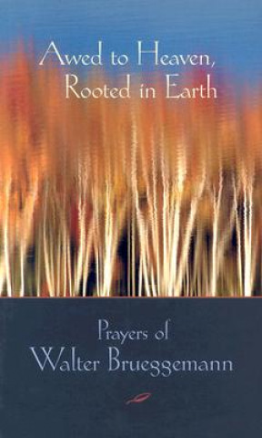 Book Awed to Heaven, Rooted in Earth Edwin Brueggemann