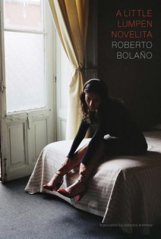 Book Little Lumpen Novelita Roberto Bolano