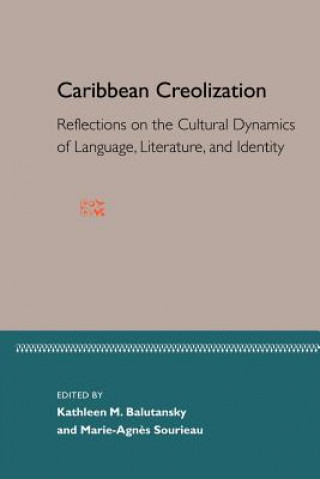 Kniha Caribbean Creoliazation:Reflections Cultural Dynam Marie-Agnes Sourieau