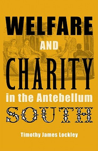 Kniha Welfare And Charity In The Antebellum South Timothy James Lockley