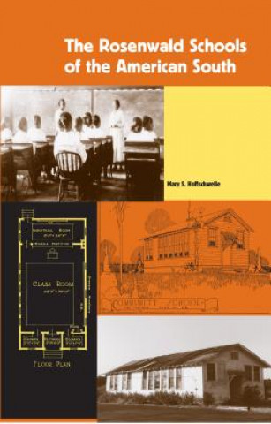 Könyv Rosenwald Schools of the American South Mary S Hoffschwelle