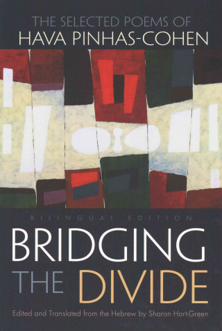 Könyv Bridging the Divide Sharon Hart-Green