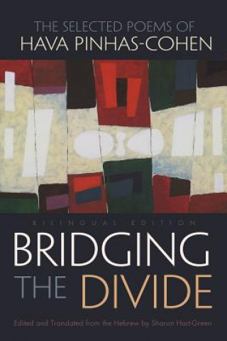 Könyv Bridging the Divide Hava Pinhas-Cohen