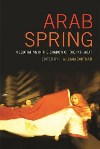 Könyv Arab Spring I. William Zartman