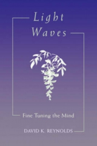 Knjiga Light Waves David K. Reynolds