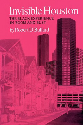 Book Invisible Houston Bullard- R