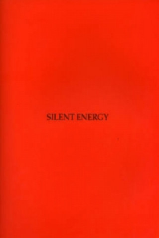 Kniha Silent Energy David Elliott