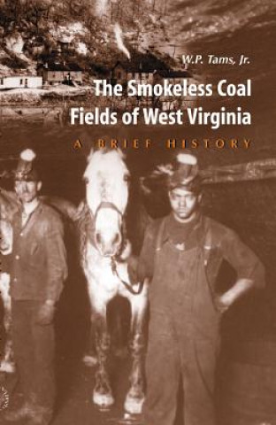 Carte Smokeless Coal Fields of West Virginia TAMS