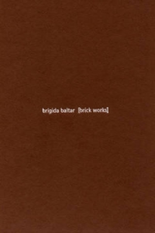 Knjiga Brigida Baltar Guy Brett