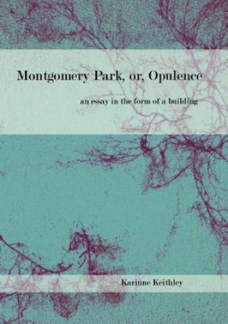Könyv Montgomery Park, or Opulence Karinne Keithley Syers