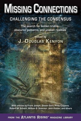 Knjiga Missing Connections 