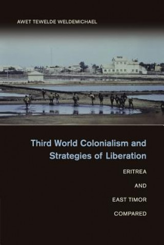 Książka Third World Colonialism and Strategies of Liberation WELDEMI  AWET TEWELD