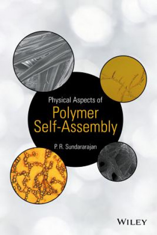 Könyv Physical Aspects of Polymer Self-Assembly P. Sundararajan