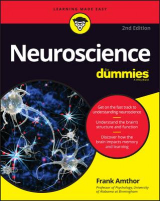 Carte Neuroscience For Dummies, 2e Frank Amthor