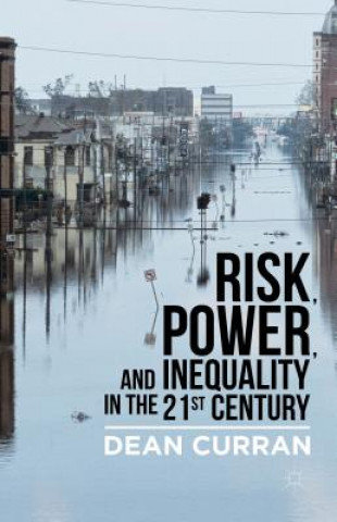 Книга Risk, Power, and Inequality in the 21st Century Dean Curran