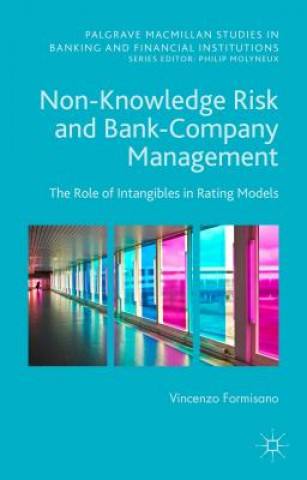 Kniha Non-Knowledge Risk and Bank-Company Management Vincenzo Formisano
