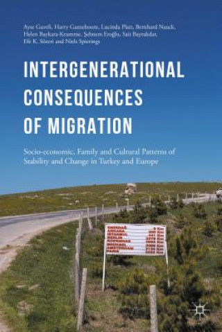 Kniha Intergenerational consequences of migration Lucinda Platt