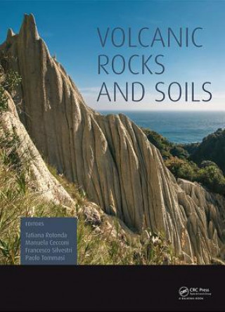 Kniha Volcanic Rocks and Soils 