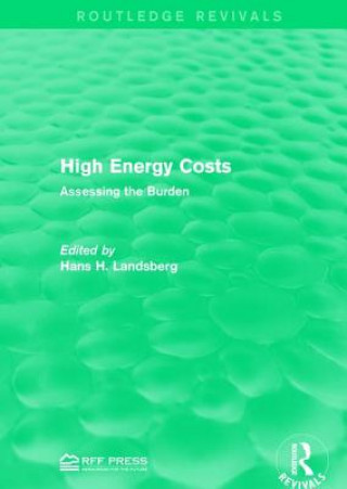 Kniha High Energy Costs 