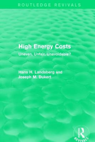 Kniha High Energy Costs Hans H. Landsberg