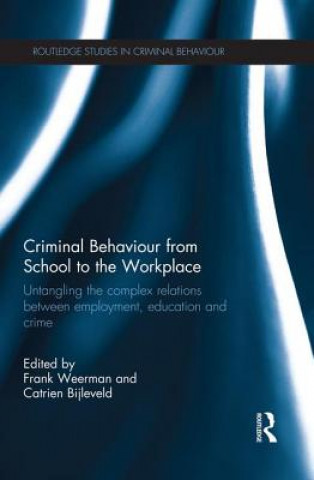 Könyv Criminal Behaviour from School to the Workplace 